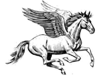 Pegasus 