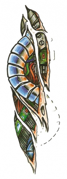 Biomechanical Scheur