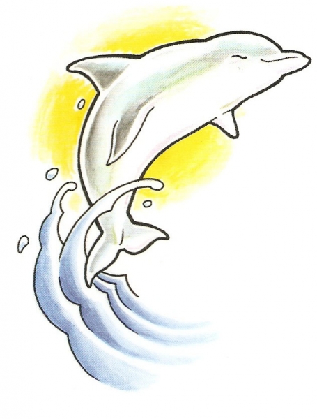 Dolfijn 5