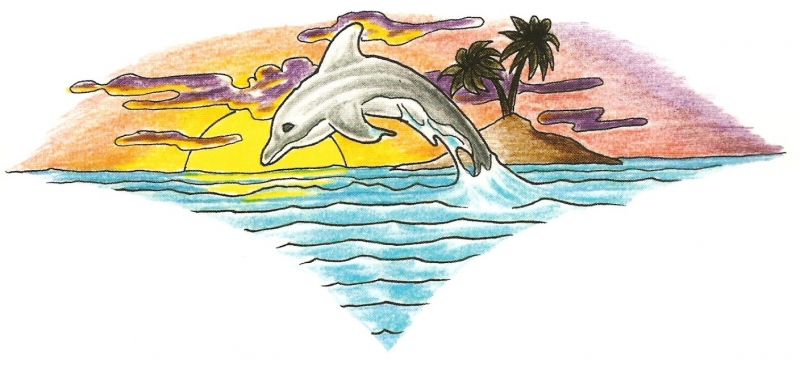 Dolfijn 1