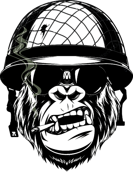 Monkey Soldier