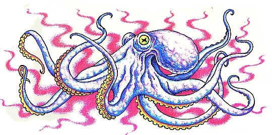 Octopus 2