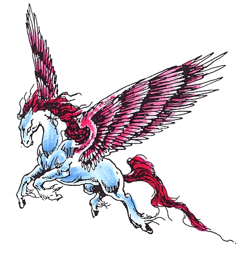 Pegasus 5
