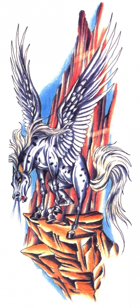 Pegasus 8