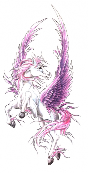 Pegasus 9