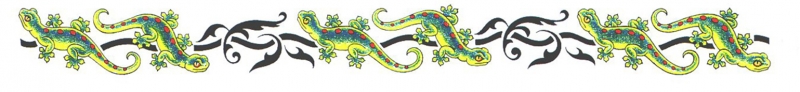 Armband Salamanders