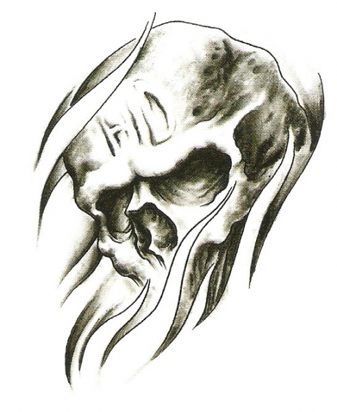 Skull