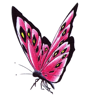 Vlinder Roze 2