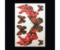  XL Tattoos Dieren kleur tattoo voorbeeld Dieren 081 Vlinders Rood