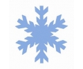  Overig (8 x 10 cm) tattoo voorbeeld Sneeuwvlokje 16-95