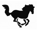  Dieren (8 x 10 cm) tattoo voorbeeld Paard 17-6