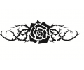  Bloemen tattoo voorbeeld Roos tribal 2