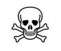  Skulls Zwartwit tattoo voorbeeld Skelet hoofd