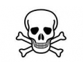  Skulls Zwartwit tattoo voorbeeld Skelet hoofd