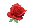 Bloemen tattoo voorbeeld Roos 