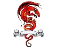  Draken tattoo voorbeeld Draak