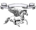  Pegasus tattoo voorbeeld Paard