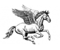  Pegasus tattoo voorbeeld Pegasus 