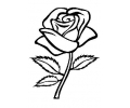  Bloemen tattoo voorbeeld Roos zwart-wit 