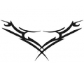  Tribals tattoo voorbeeld Tribal 3