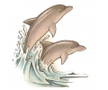  Dolfijnen tattoo voorbeeld Dolfijn 3