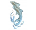  Dolfijnen tattoo voorbeeld Dolfijn 4
