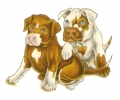  Honden tattoo voorbeeld Pit Bull Puppy's