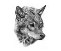  Roofdieren tattoo voorbeeld Wolf