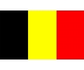  Belgisch Elftal tattoo voorbeeld Belgische Vlag