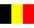  Belgisch Elftal tattoo voorbeeld Belgische Vlag