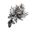  Bloemen tattoo voorbeeld Bloemen grijs 1