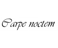  Spreuken / Poëzie tattoo voorbeeld Carpe Noctem - Pluk de Nacht