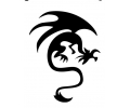  Draken tattoo voorbeeld Draak 87