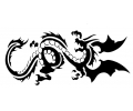  Draken tattoo voorbeeld draak