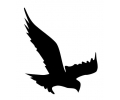  Roofdieren tattoo voorbeeld Roofvogel