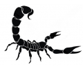  Sterrenbeelden tattoo voorbeeld Scorpio