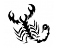  Sterrenbeelden tattoo voorbeeld sterb5