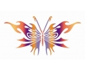  Vlinders tattoo voorbeeld Vlinder 4