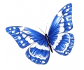  Vlinders tattoo voorbeeld Vlinder Blauw