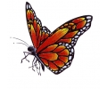  Vlinders tattoo voorbeeld Vlinder Oranje