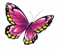  Vlinders tattoo voorbeeld Vlinder Roze 1