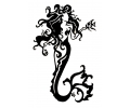  Overige Symbolen tattoo voorbeeld Zeemeermin